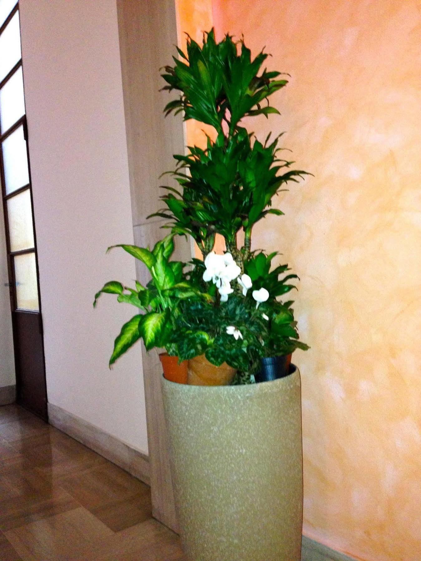 Rigoletto Rental Rooms Verona Exterior photo